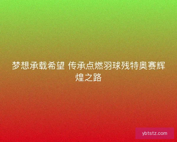 梦想承载希望 传承点燃羽球残特奥赛辉煌之路