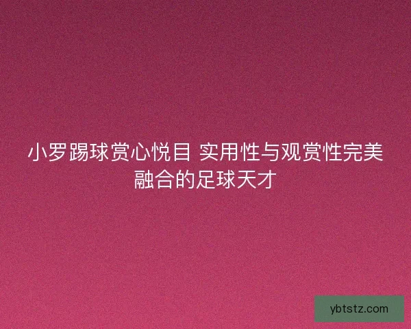 小罗踢球赏心悦目 实用性与观赏性完美融合的足球天才